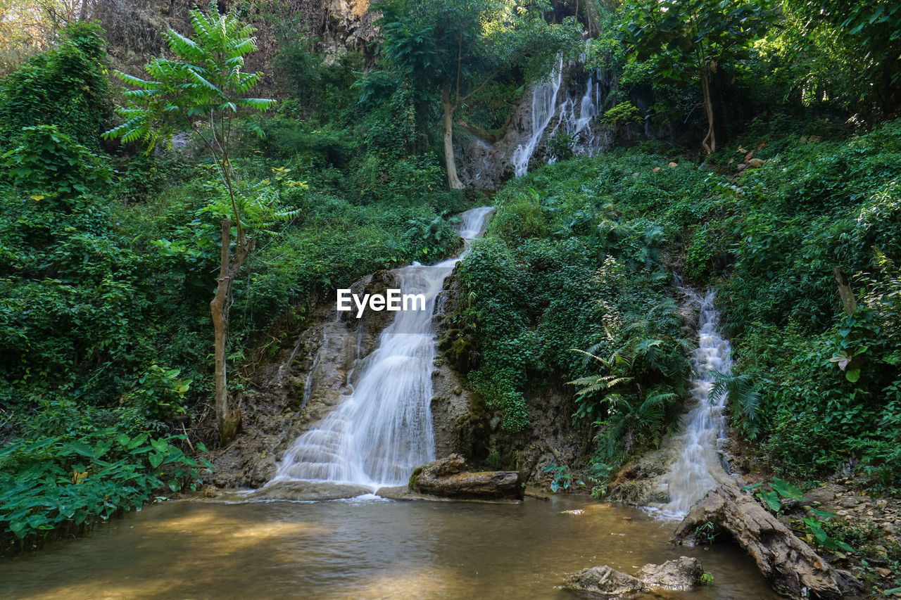 Scenic view of waterfall in forest