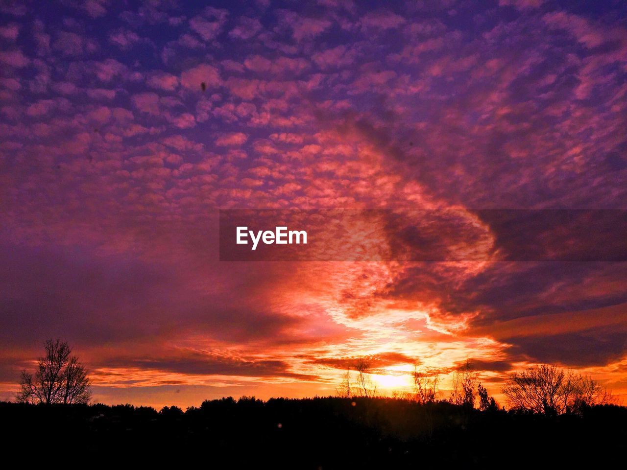 Scenic view of silhouette trees against romantic sky