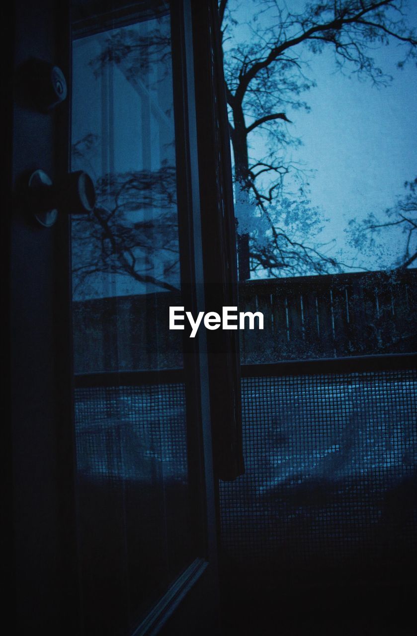 Trees viewed through window of building
