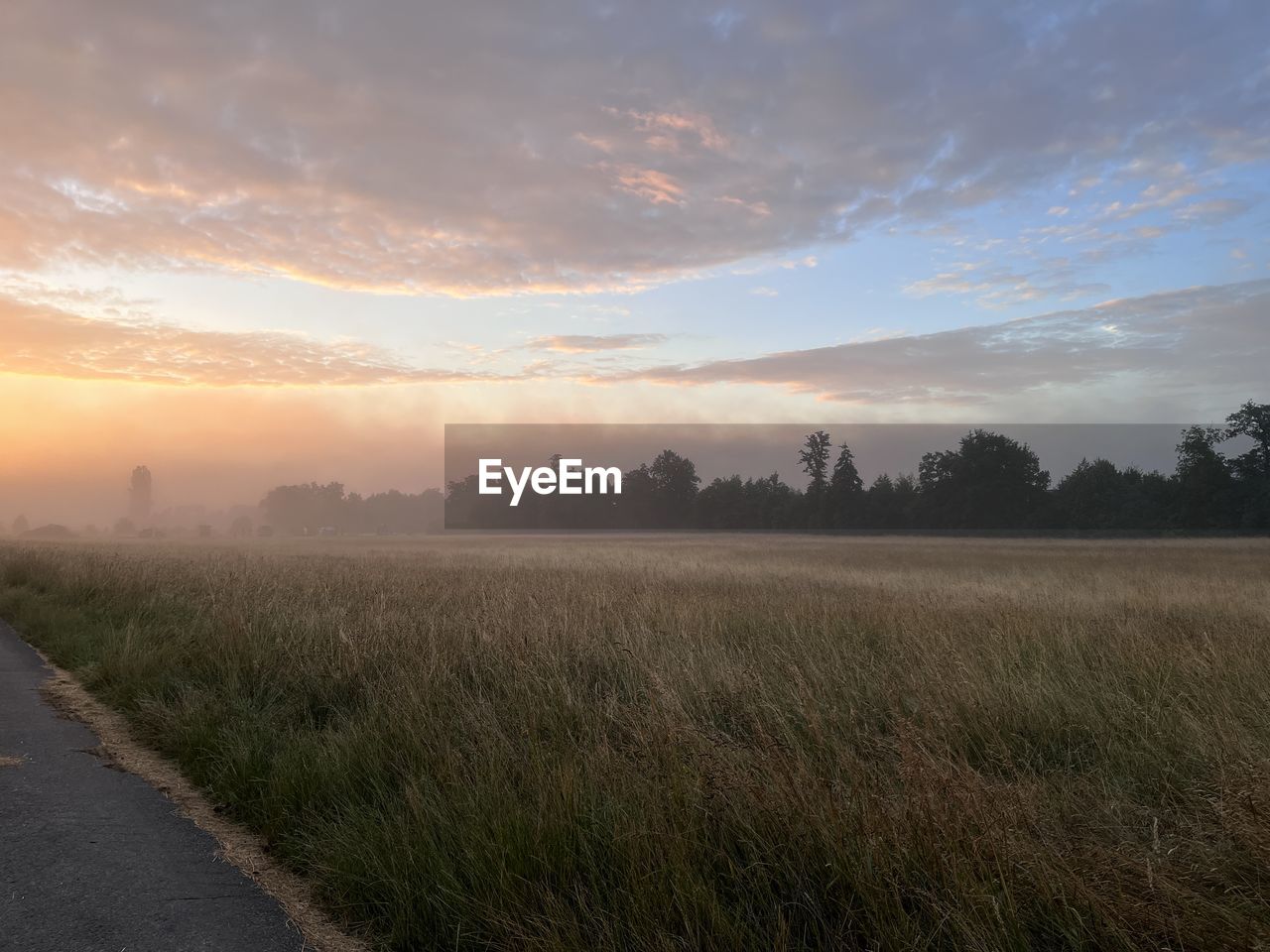 Scenic view of field against sky during sunset
