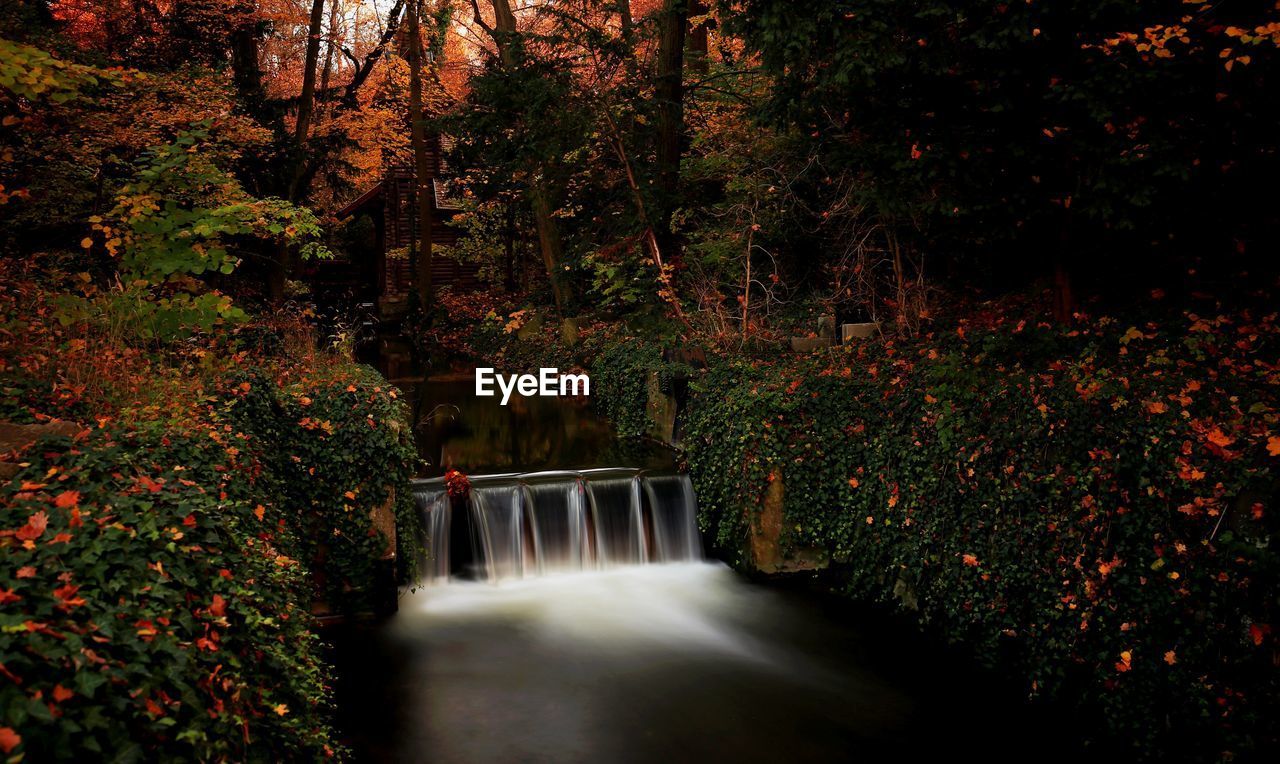 Scenic view of waterfall in forest during autumn