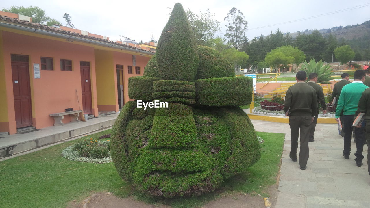 PEOPLE GROWING IN FRONT OF GARDEN