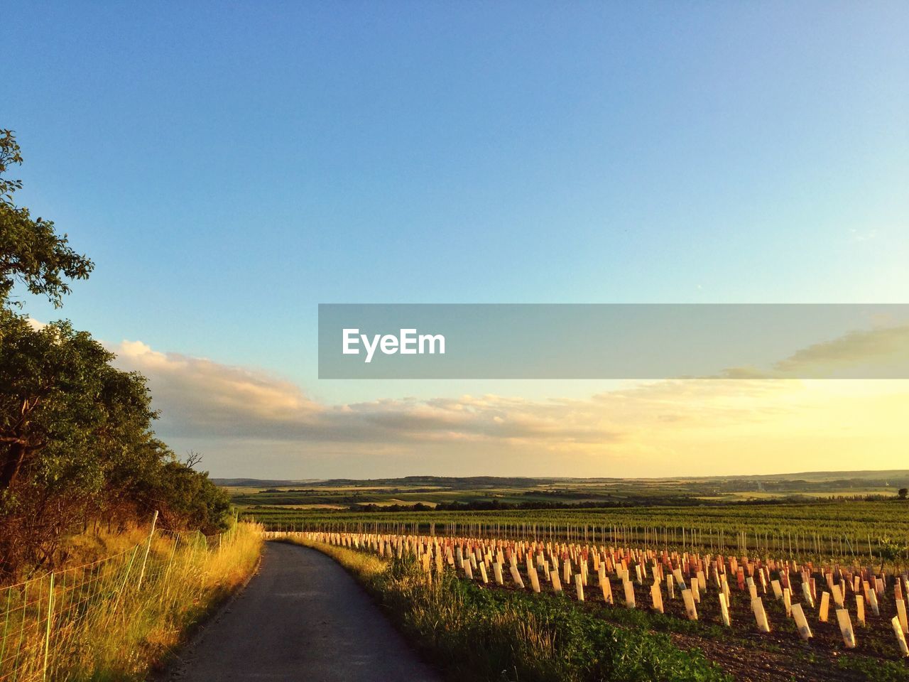 ROAD PASSING THROUGH FIELD