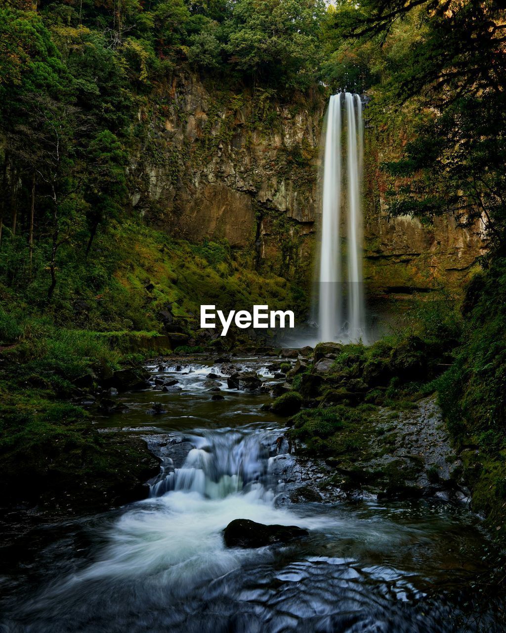 Waterfall in forest