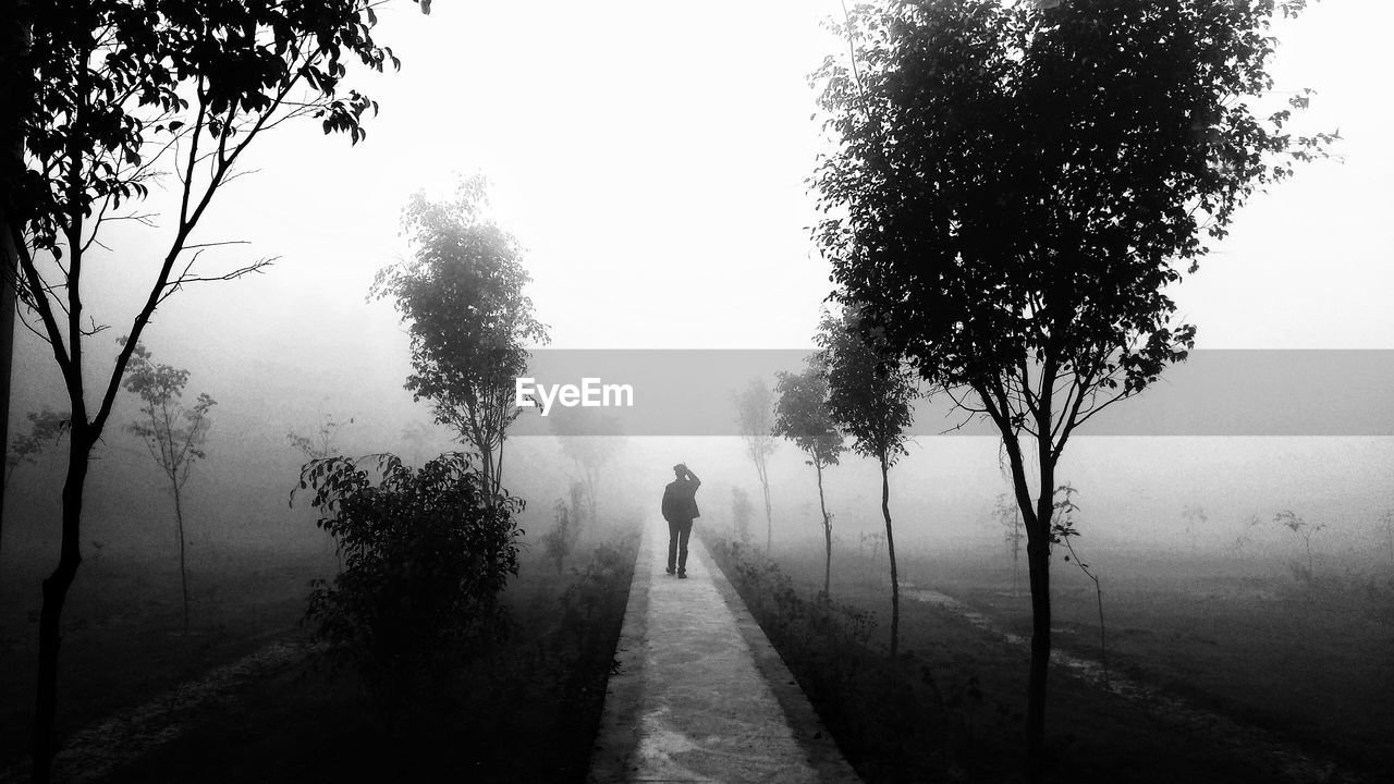 REAR VIEW OF SILHOUETTE MAN WALKING ON ROAD IN FOGGY WEATHER