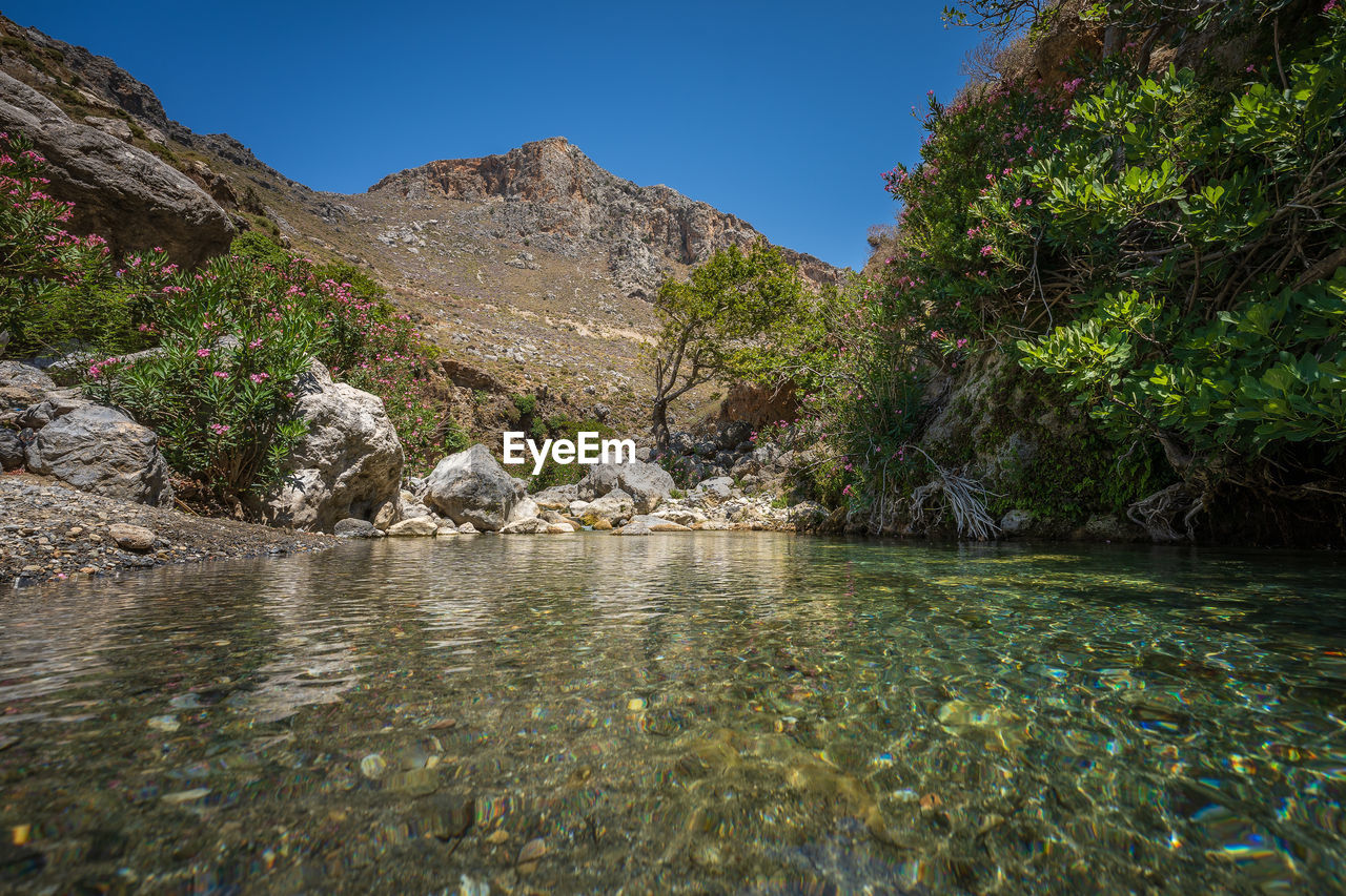 water, wilderness, nature, tree, scenics - nature, plant, beauty in nature, environment, river, mountain, sky, landscape, land, rock, clear sky, tranquility, valley, travel destinations, no people, forest, travel, tranquil scene, non-urban scene, blue, body of water, pinaceae, coniferous tree, pine tree, outdoors, sunny, mountain range, stream, idyllic, day, pine woodland, tourism, animal wildlife, outdoor pursuit, reflection, flower, waterfront, wadi