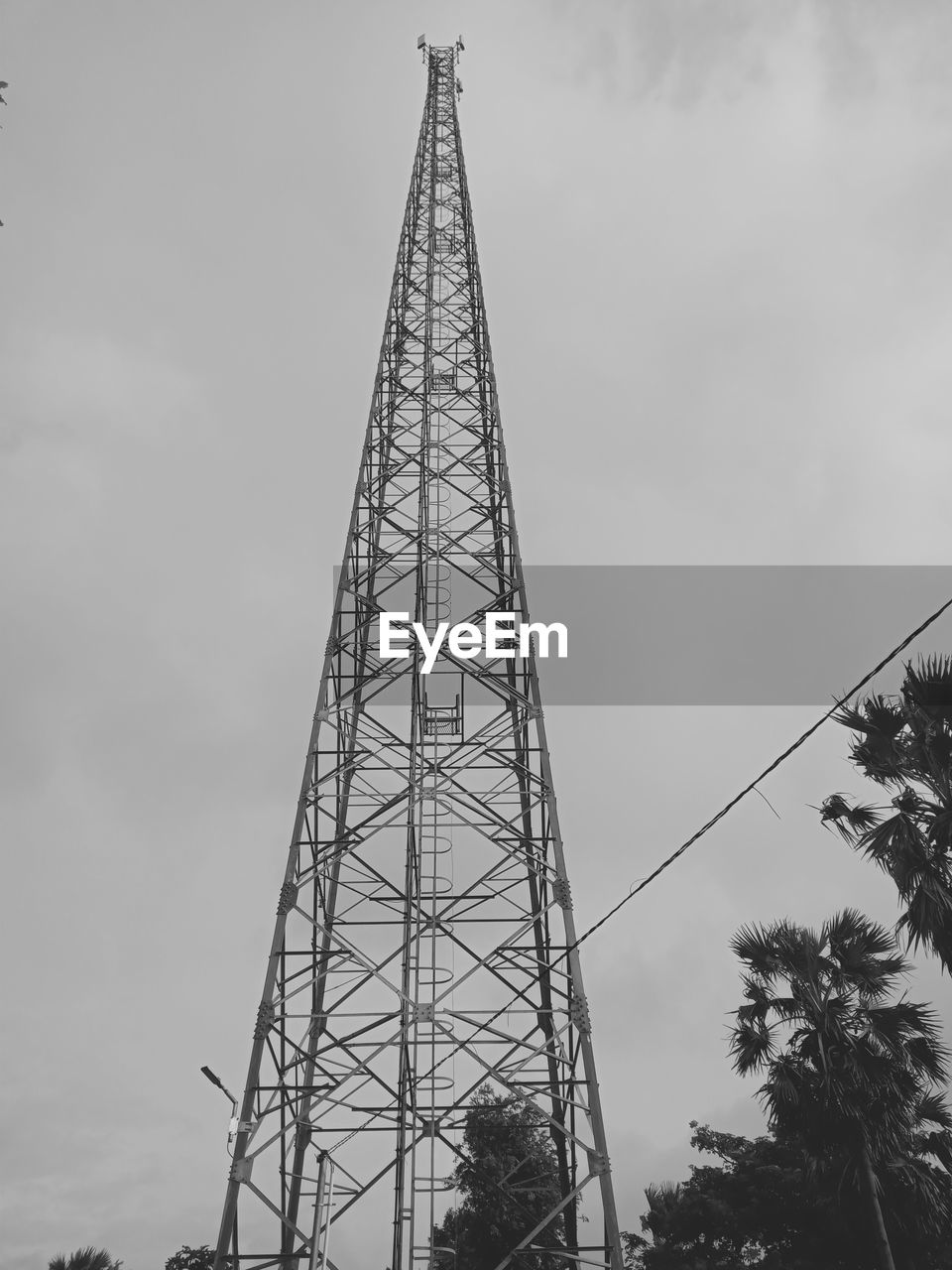 tower, architecture, built structure, sky, black and white, transmission tower, cloud, nature, tree, technology, metal, low angle view, monochrome, monochrome photography, plant, mast, line, no people, electricity, outdoors, steel, communication, alloy, industry, silhouette, business finance and industry, overhead power line, cable, electricity pylon, tower block, day, landmark, spire, communications tower, city, power generation