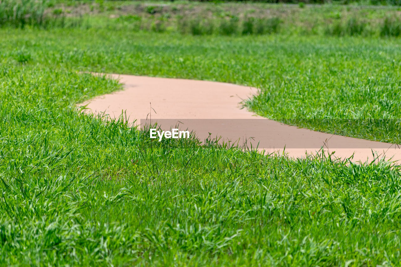 SCENIC VIEW OF AGRICULTURAL FIELD BY LAND