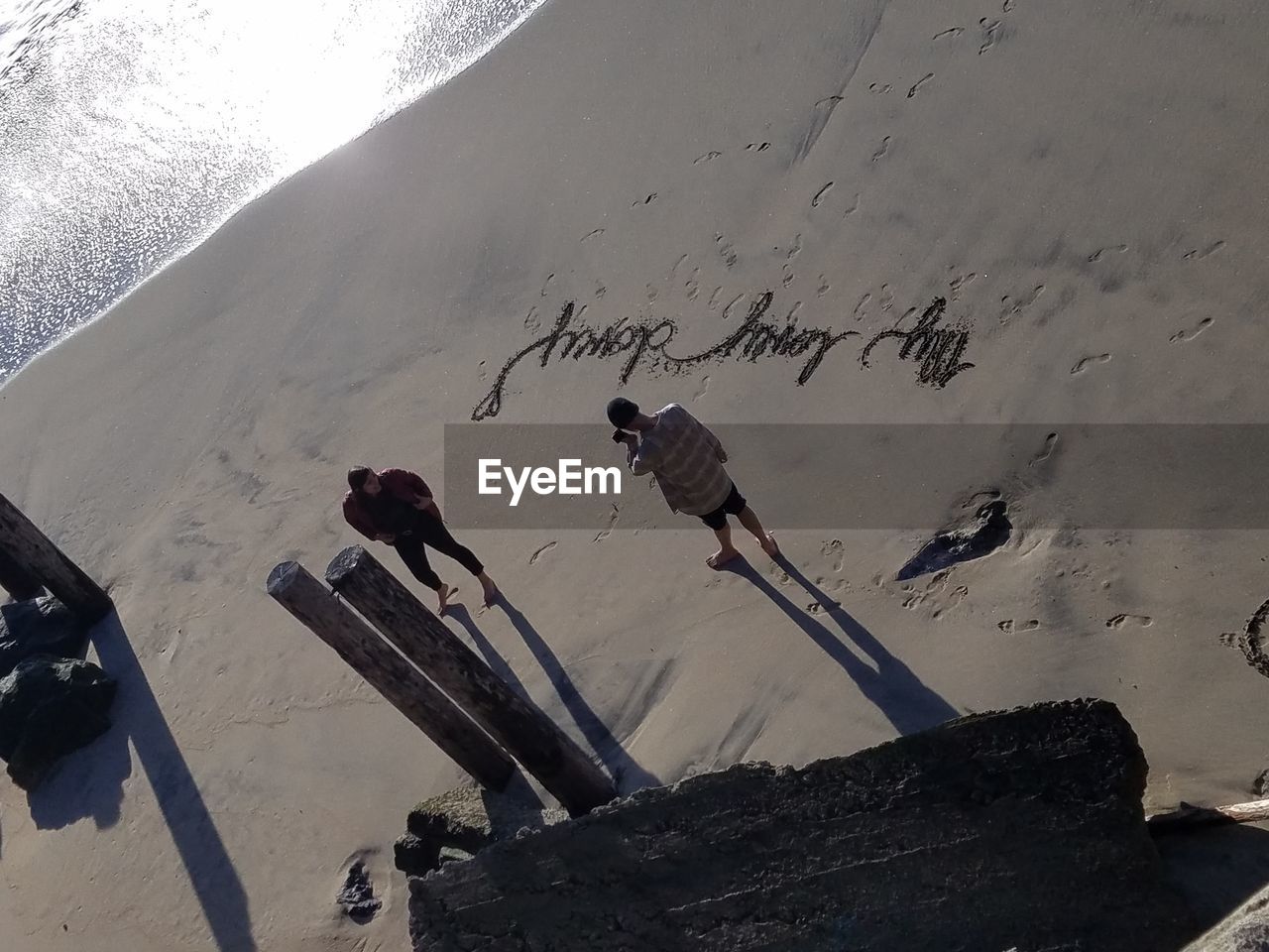 FLOCK OF BIRDS ON SNOW