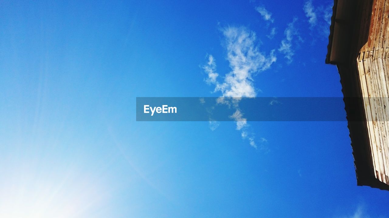 LOW ANGLE VIEW OF TREES AGAINST BLUE SKY