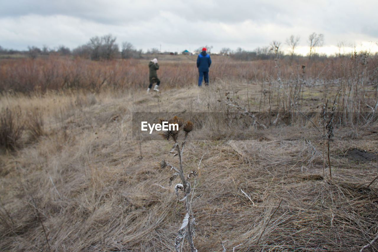 wilderness, plant, landscape, land, sky, nature, environment, grass, adult, prairie, wetland, dry, field, dog, cloud, two people, mammal, full length, canine, tree, men, winter, domestic animals, animal, animal themes, day, walking, togetherness, non-urban scene, scenics - nature, leisure activity, pet, outdoors, rural scene, wildlife, remote, steppe, activity, lifestyles, animal wildlife, women, cold temperature