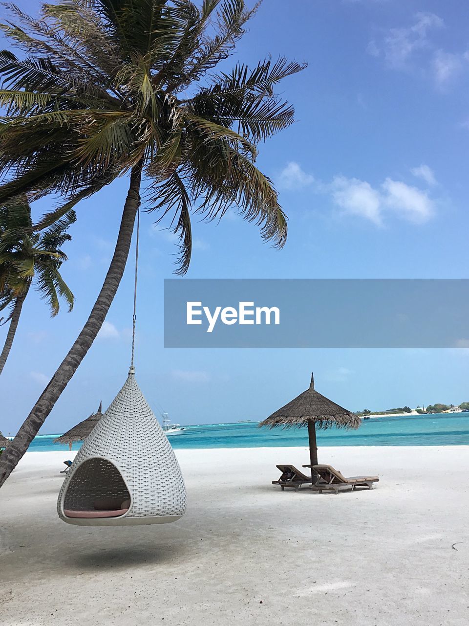 Porch swing hanging from palm tree at beach