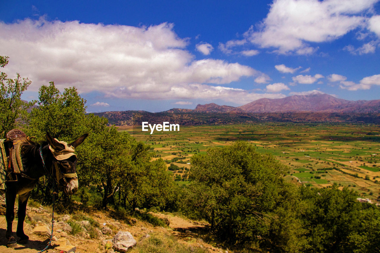 View over the lasithi plateau from the cave of zeus on the slopes of mount ida