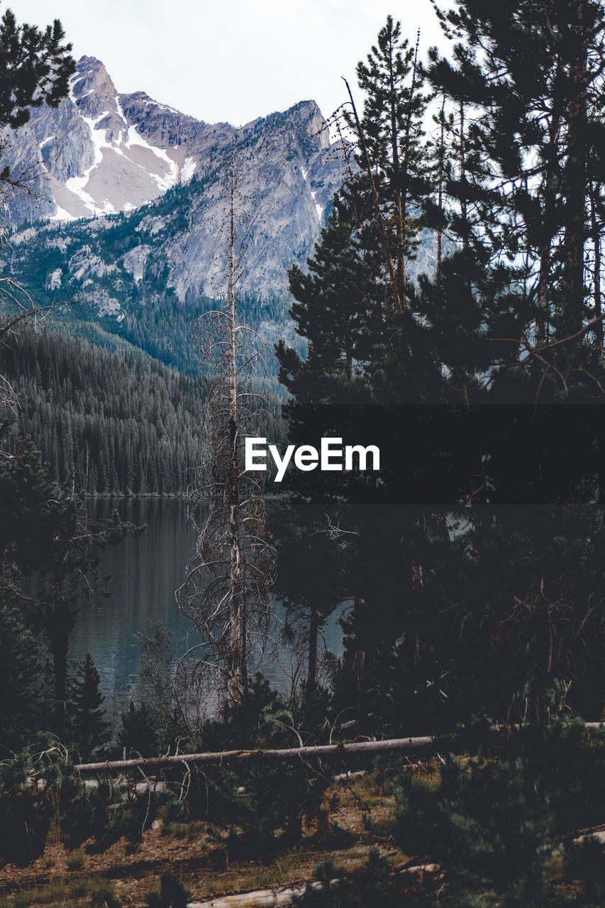 SCENIC VIEW OF SNOWCAPPED MOUNTAINS DURING WINTER