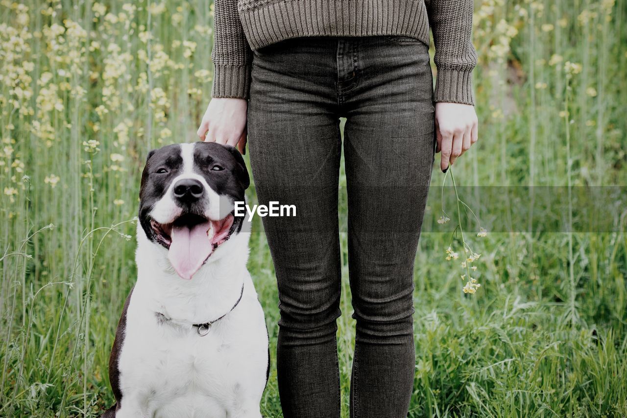 Dog standing on field next to his human