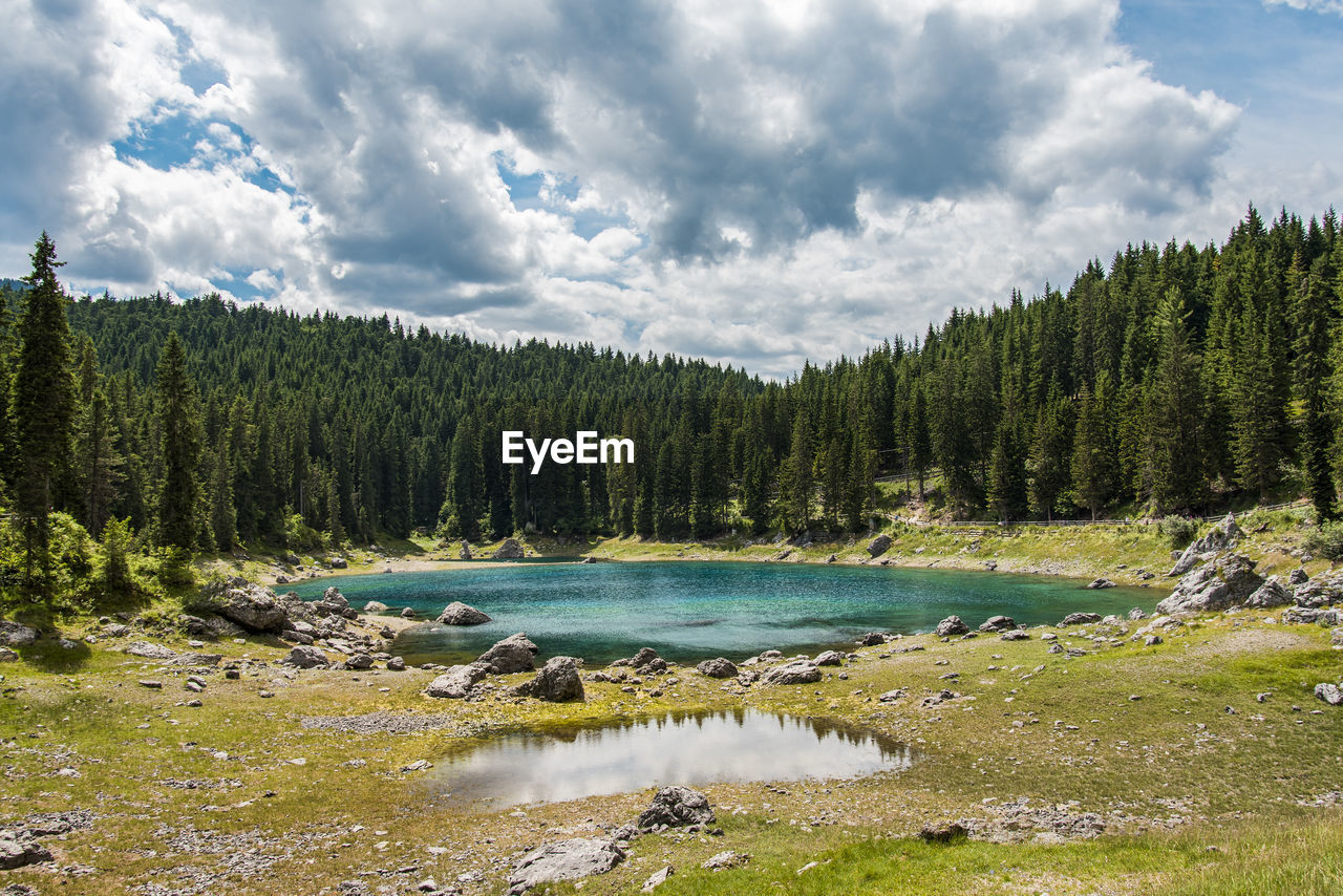 SCENIC VIEW OF FOREST AGAINST CLOUDY SKY