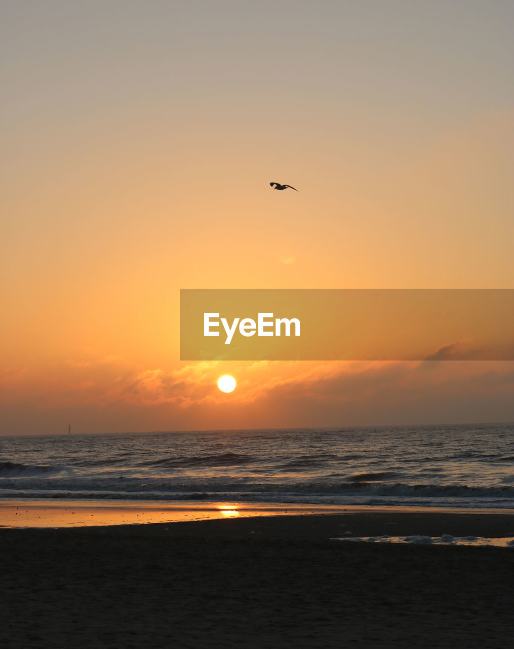 SCENIC VIEW OF SEA AGAINST SKY AT SUNSET