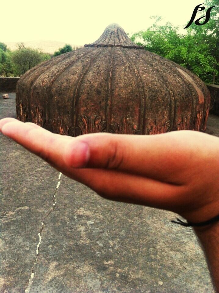 CROPPED IMAGE OF HAND ON TREE TRUNK