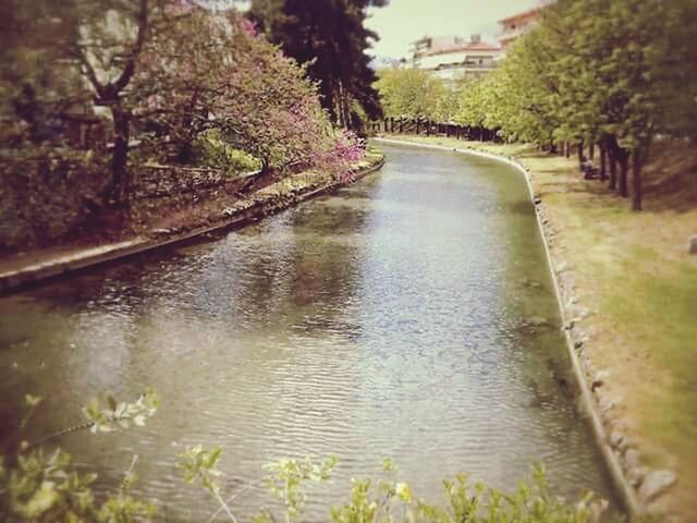 VIEW OF CANAL ALONG TREES