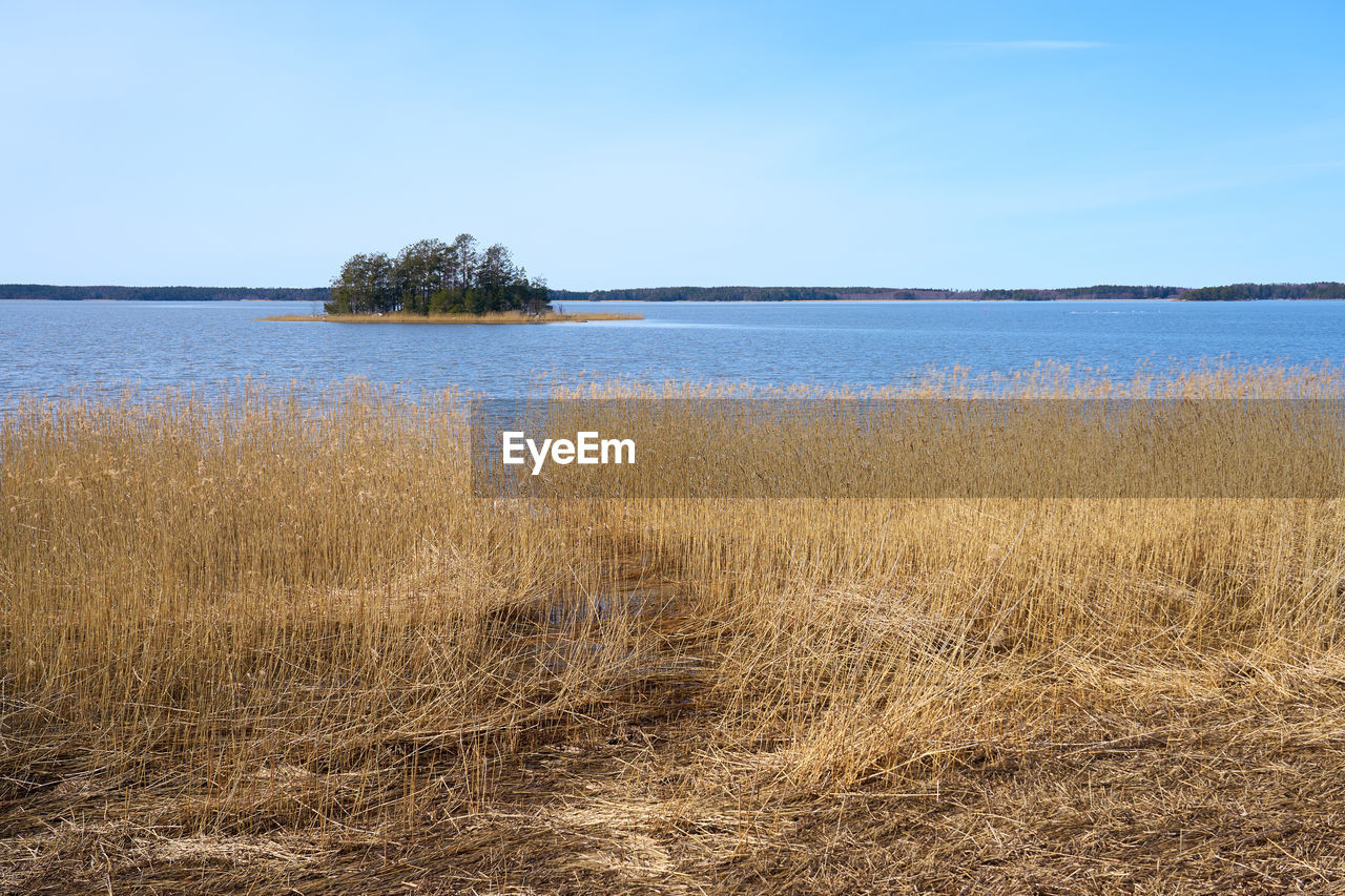 SCENIC VIEW OF LAKE