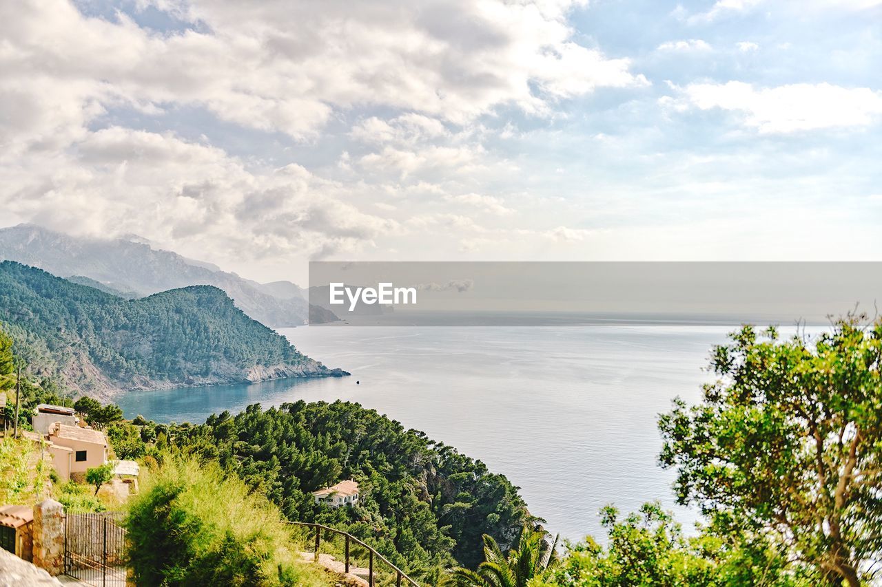 SCENIC VIEW OF SEA BY TREE AGAINST SKY