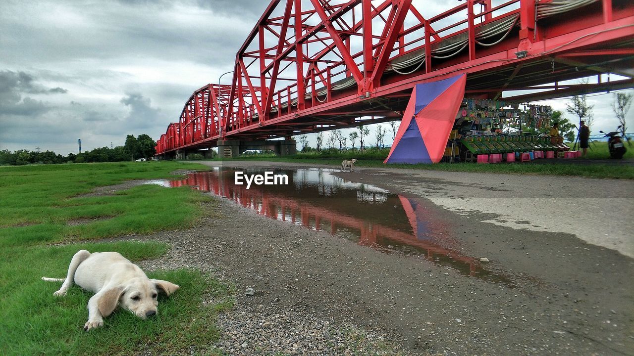 VIEW OF A BRIDGE