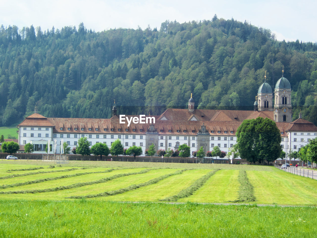 SCENIC VIEW OF TREES AND HOUSES ON FIELD