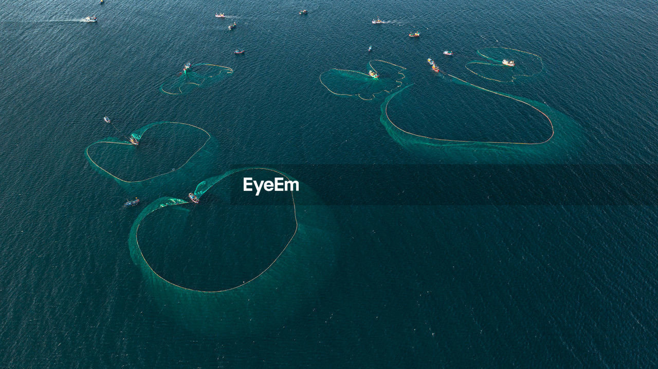 high angle view of man swimming in sea