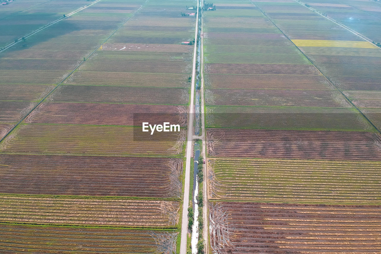 High angle view of agricultural field