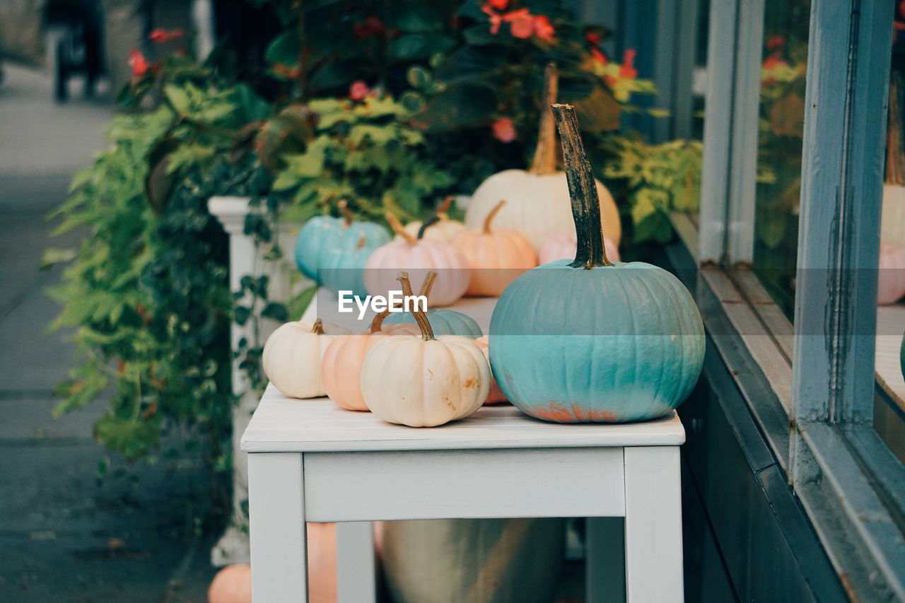 Close-up of multi colored pumpkins on table