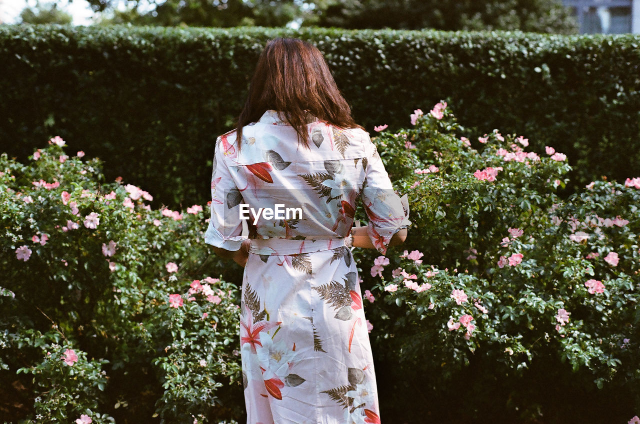 Rear view of woman standing by flowers at park