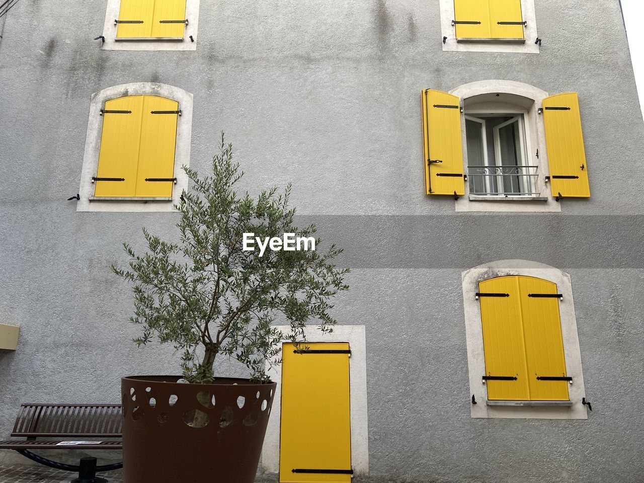 Close-up of yellow windows and door on grey wall