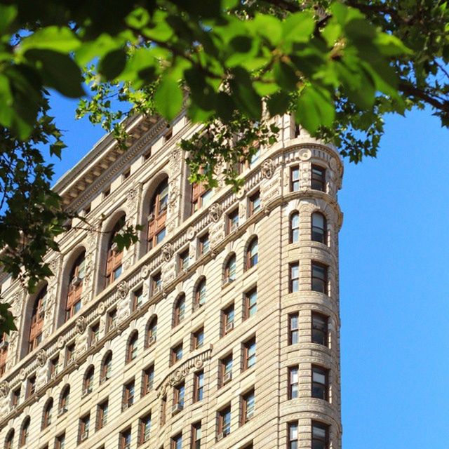 LOW ANGLE VIEW OF BUILDINGS