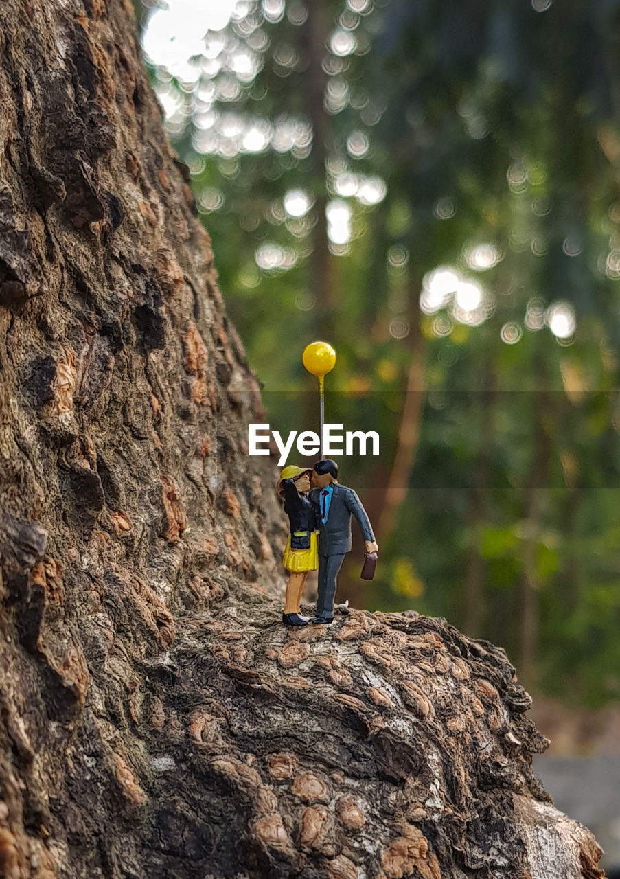 CLOSE-UP OF TOY ON ROCK