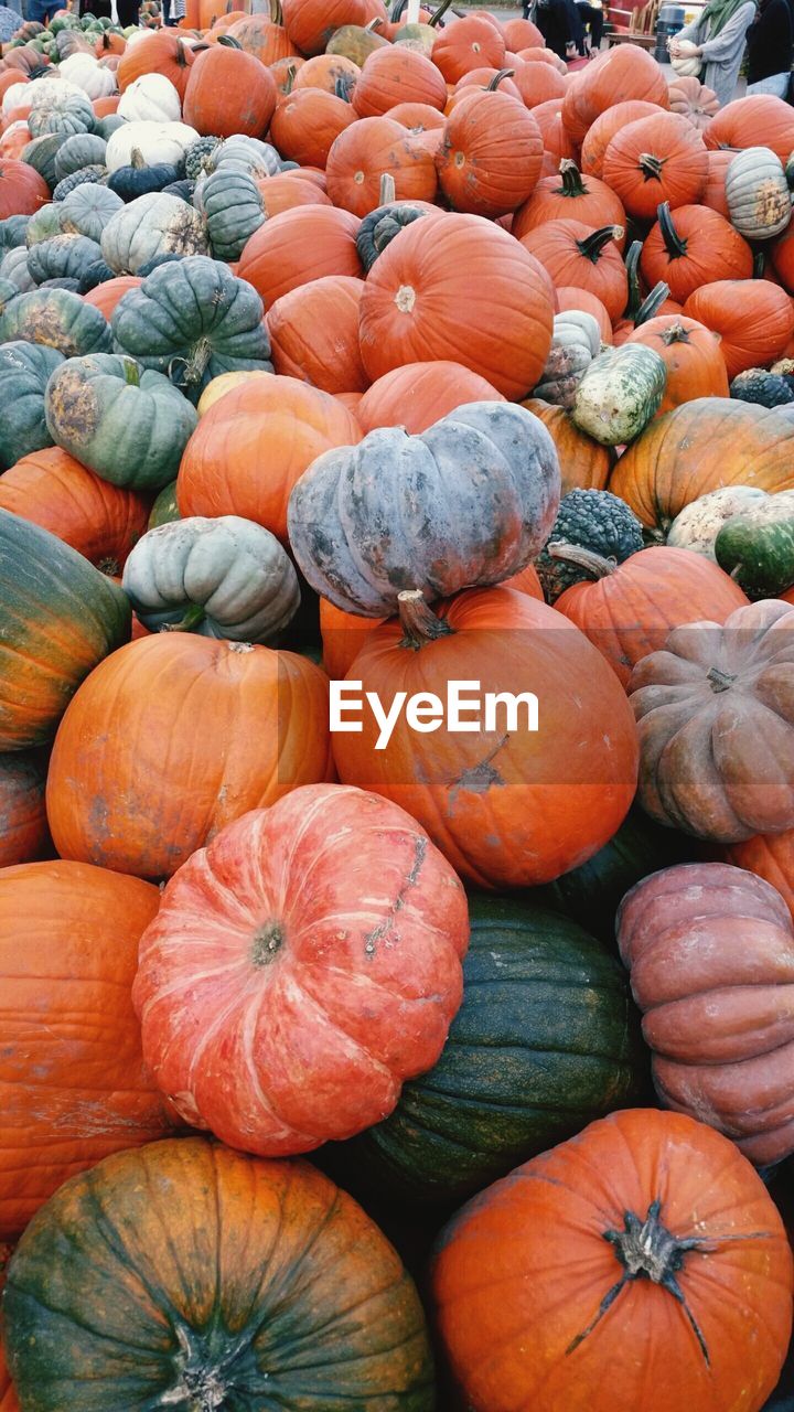 FULL FRAME SHOT OF PUMPKINS