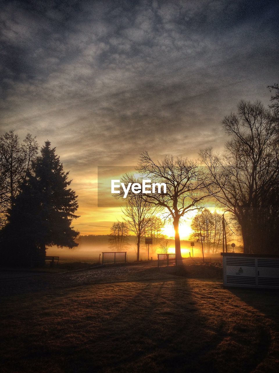 Bare trees on snow covered field against sky during sunset