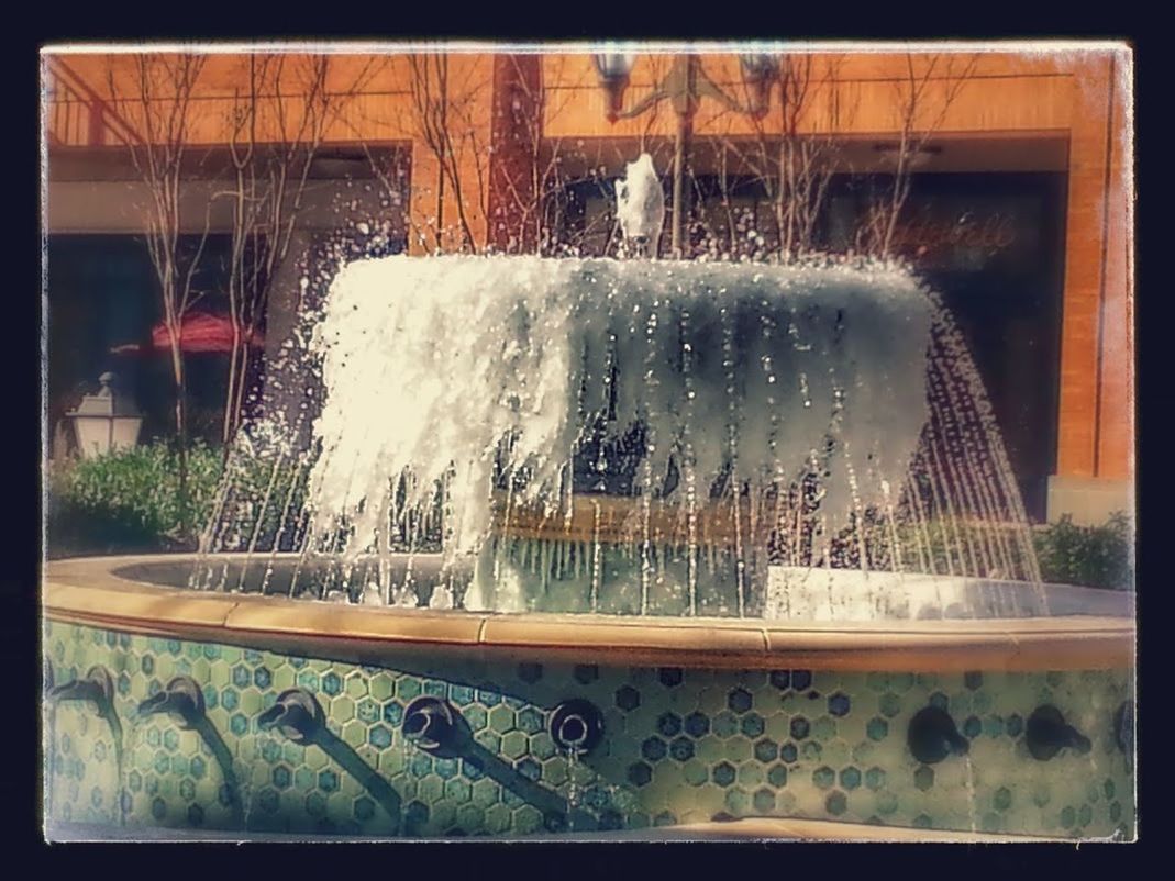 VIEW OF WATER SPLASHING ON TREE