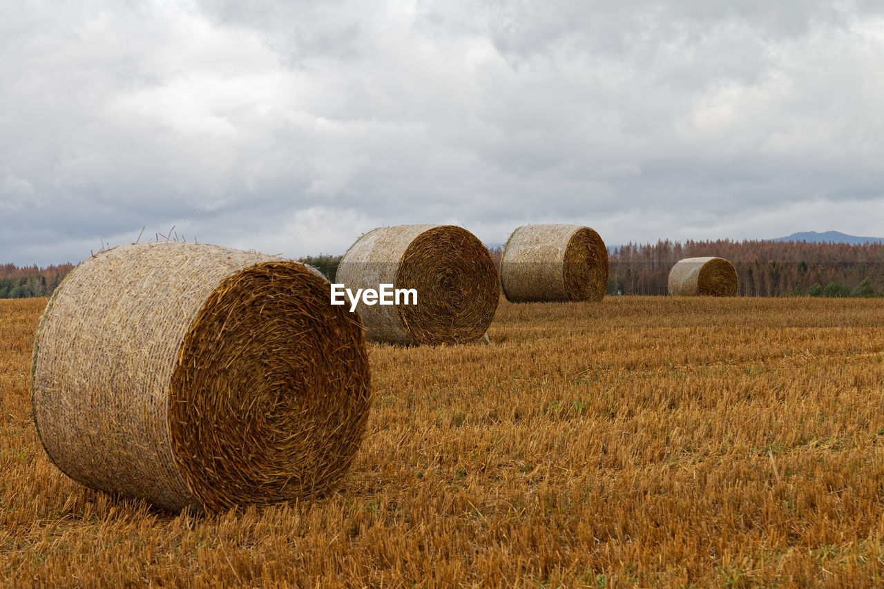 Hay bales on field against sky