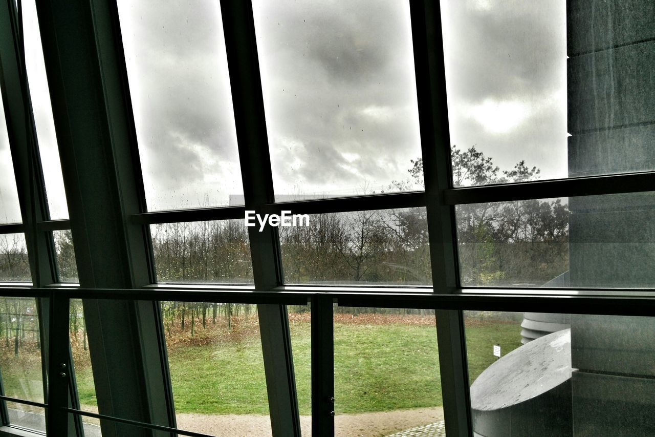 Trees on field seen through glass window