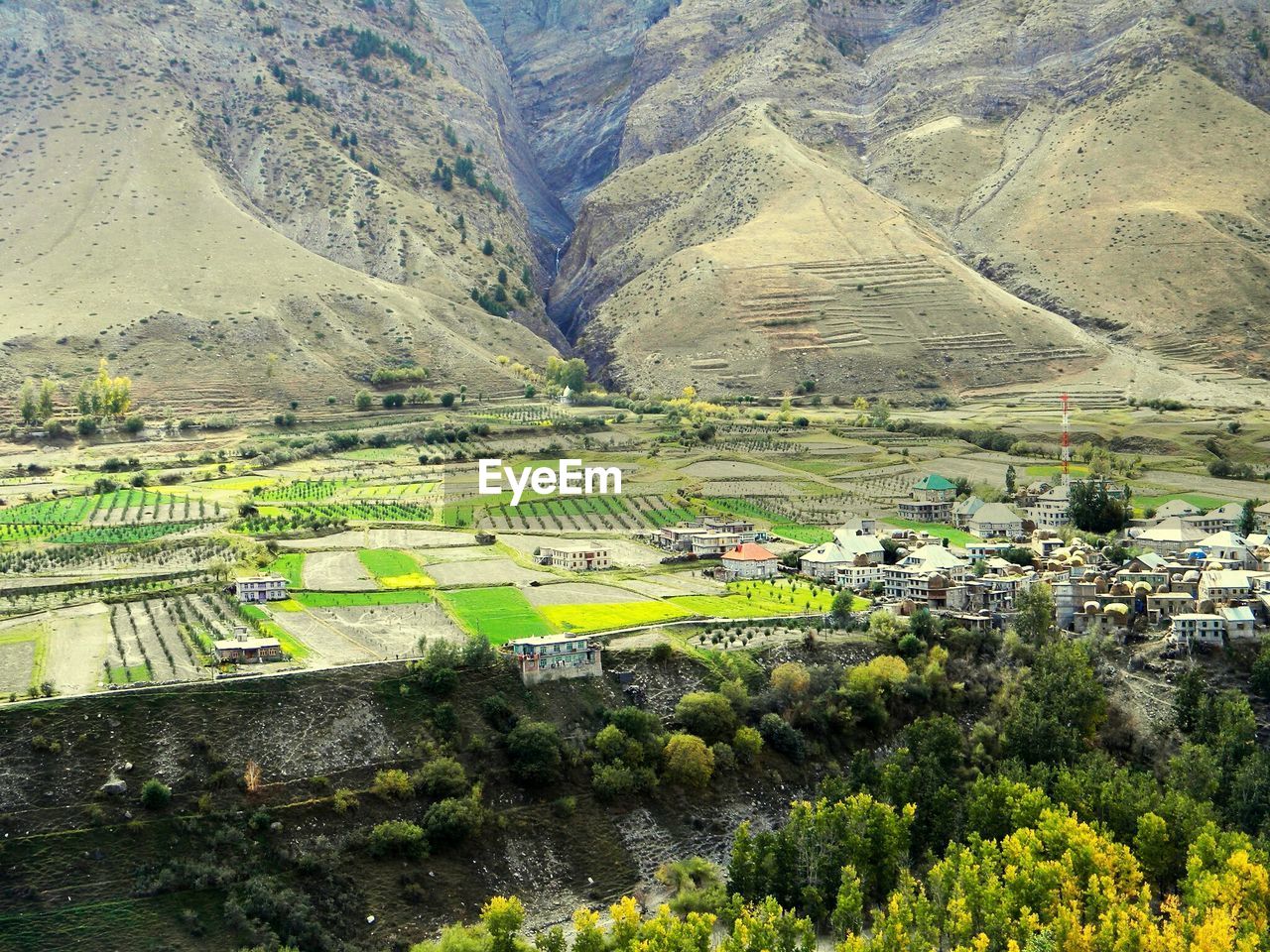 High angle view of agricultural field