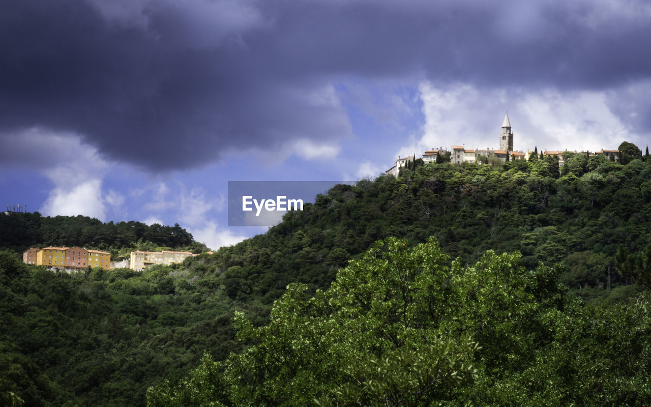 Panoramic view of trees and buildings against sky