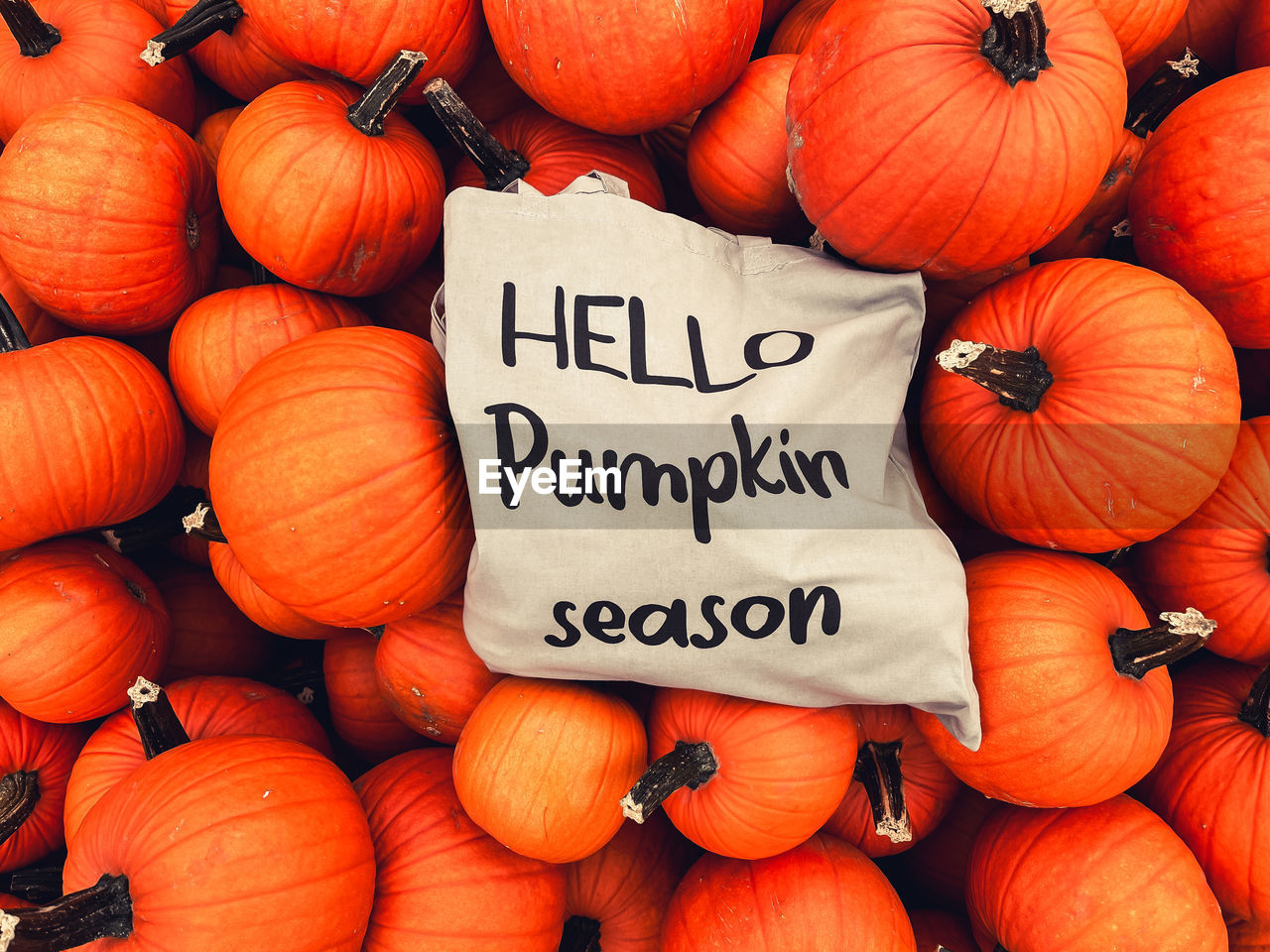 HIGH ANGLE VIEW OF PUMPKINS FOR SALE