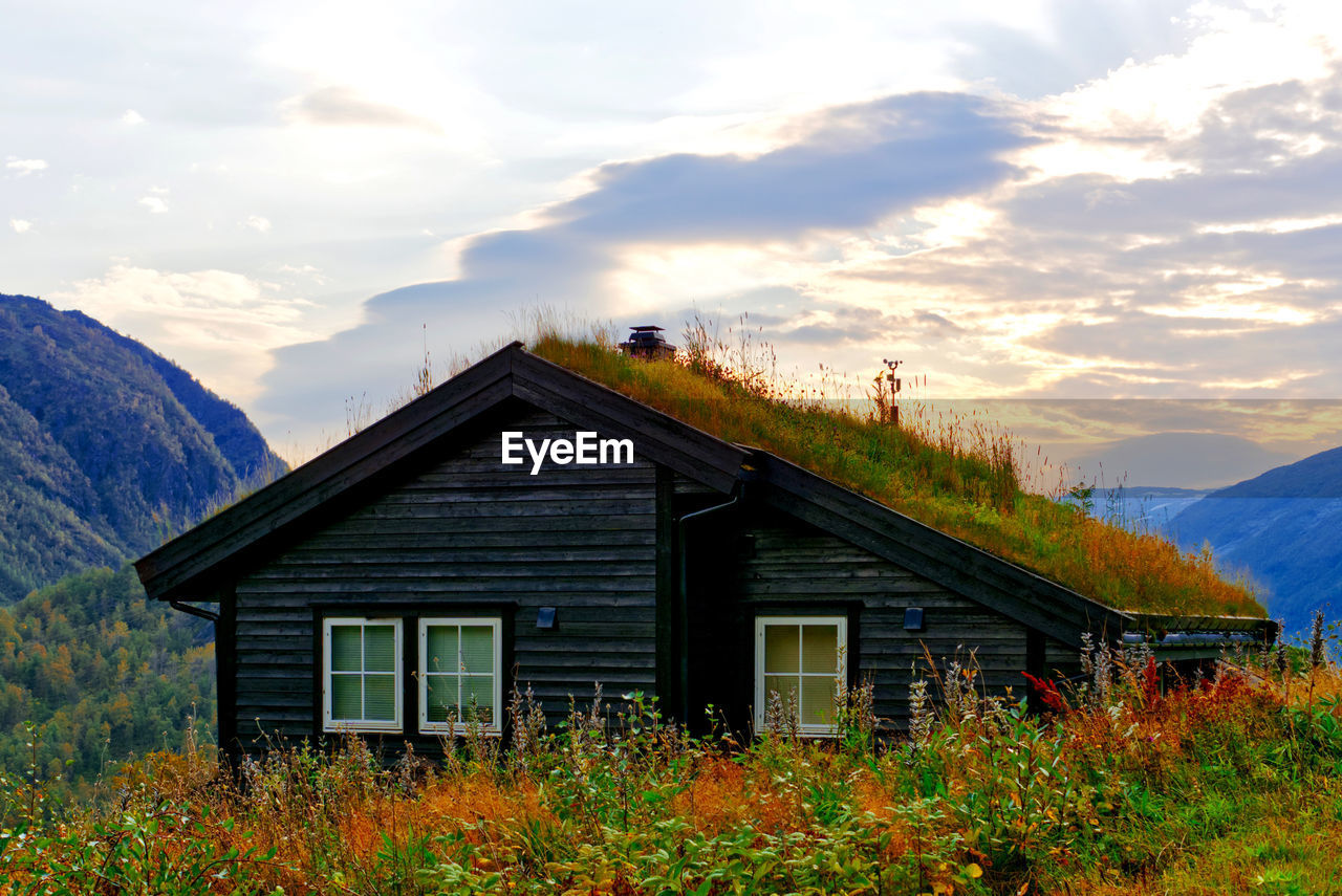 Fall colors around a turf roofed cabin in the mountains of norway 
