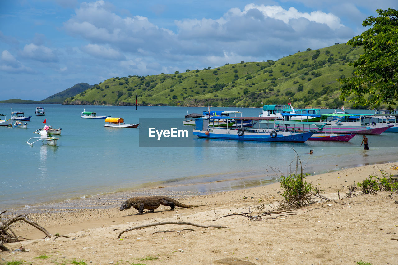 BOATS MOORED ON SEA SHORE AGAINST SKY