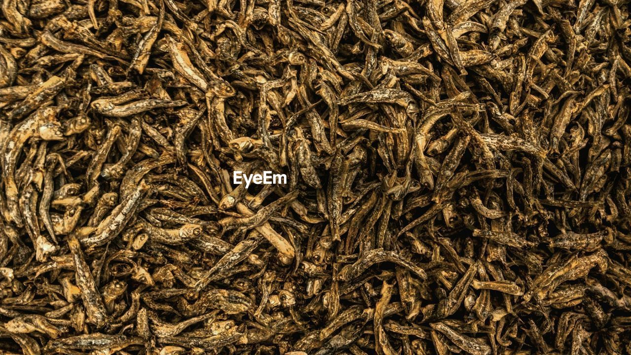 Full frame shot of dried fish for sale at market stall