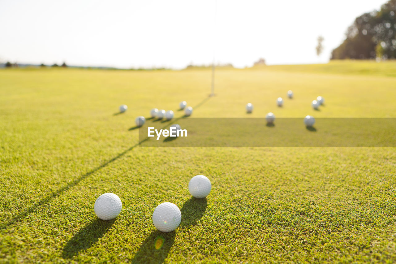 Close-up of golf balls on grass