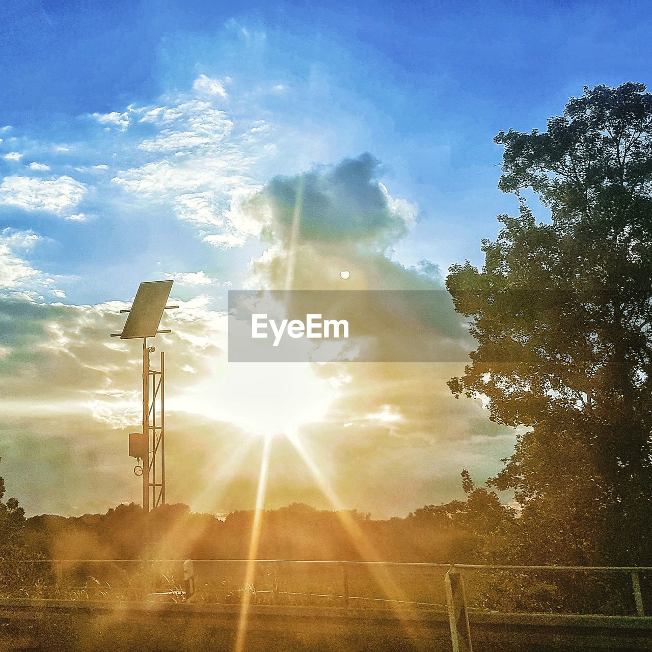 SUN STREAMING THROUGH TREES ON FIELD AGAINST SKY