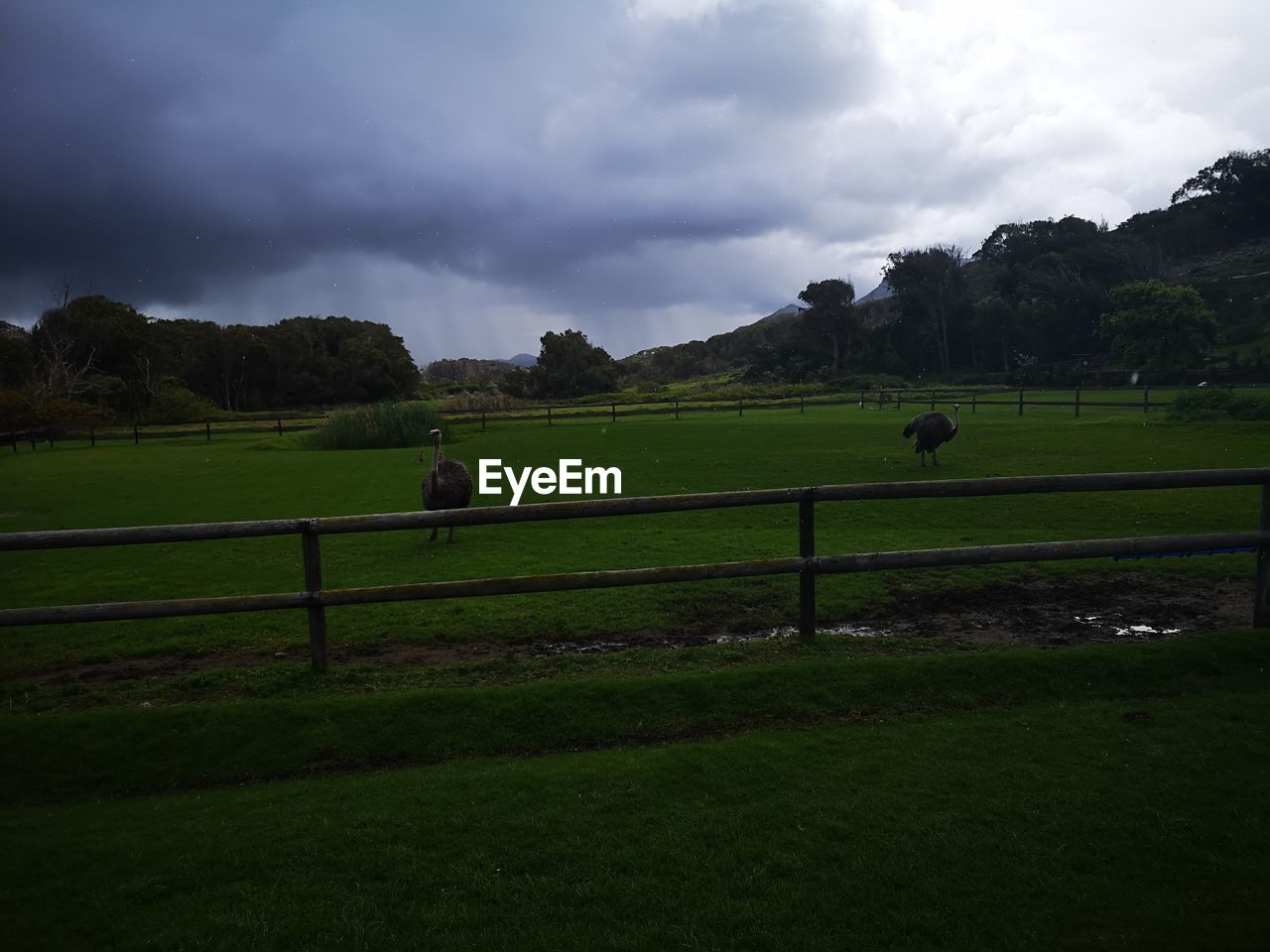 SCENIC VIEW OF FARM AGAINST SKY