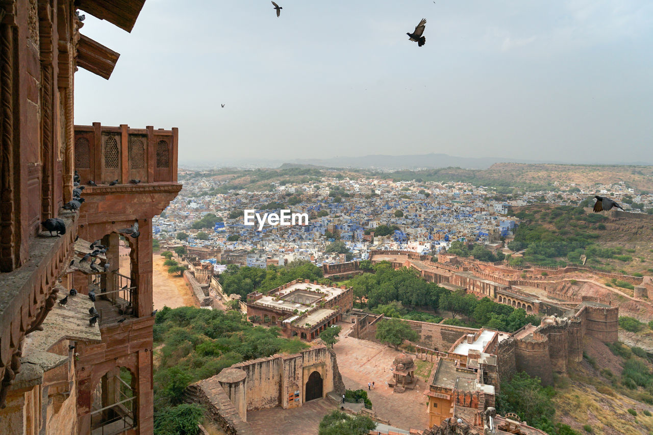 Jodhpur the blue city from mehrangarh fort, rajasthan india