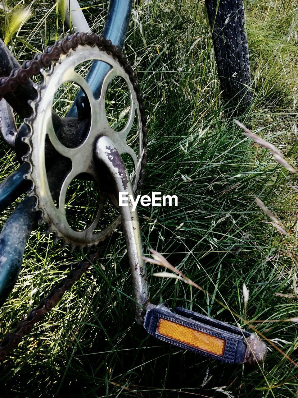 Close-up of bicycle wheel on grassy field